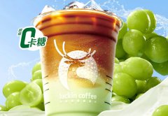 加盟瑞幸咖啡的費(fèi)用都有什么？